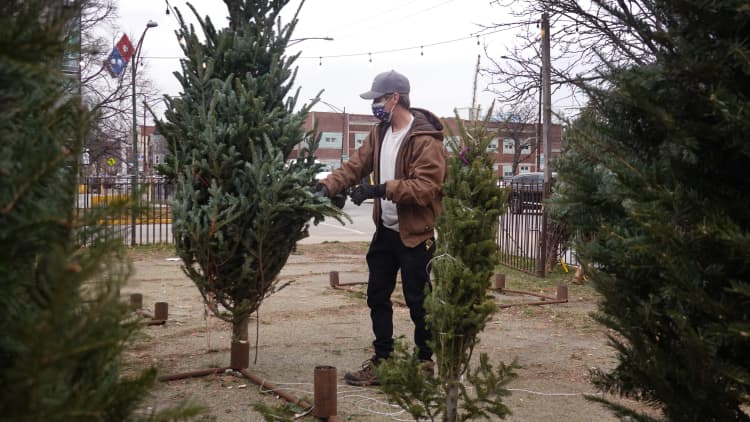 Real Christmas trees in short supply this year so buy early, say experts