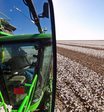 America's struggling cotton industry