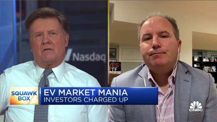 QuantumScape is the poster child stock of EV mania: Wedbush's Dan Ives