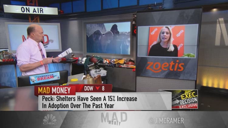 Families are adopting, spending more on pets amid pandemic: Zoetis CEO
