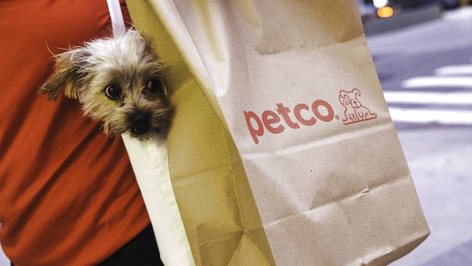 Pet owners pampering animals when it comes to food, despite inflationary  pressures