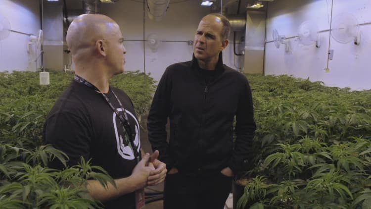 Cannabis changed this entrepreneur's life; physically and financially