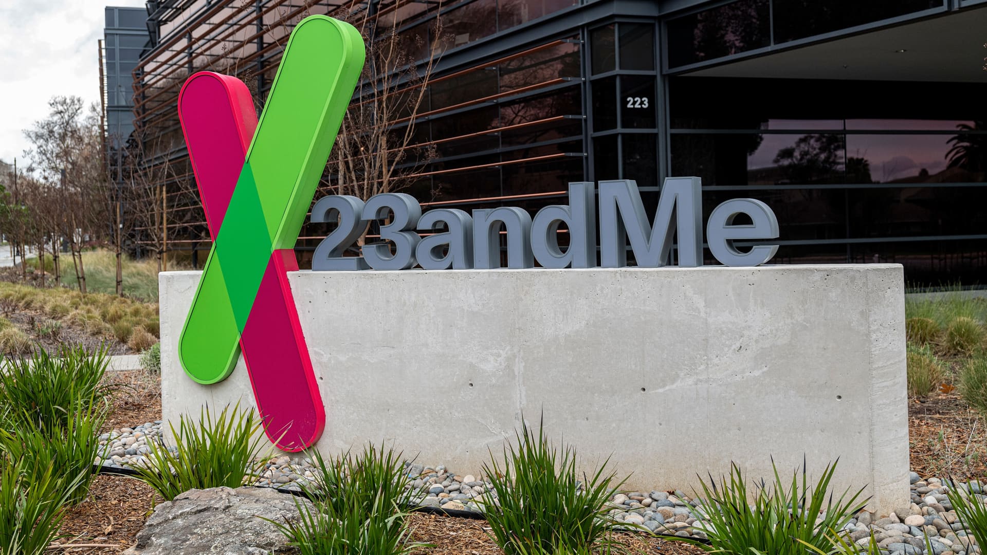 23andMe CEO Anne Wojcicki considers taking company private