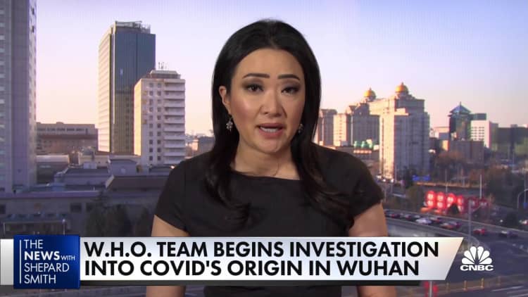 WHO team opens investigation into Covid's Wuhan origin