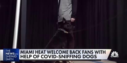 Covid-sniffing dogs 'test' fans outside Miami Heat game