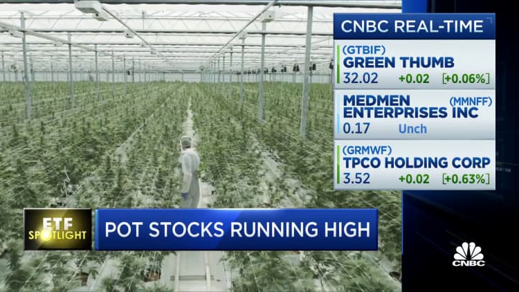 Pot stocks running high—Here's how it's affecting these ETFs