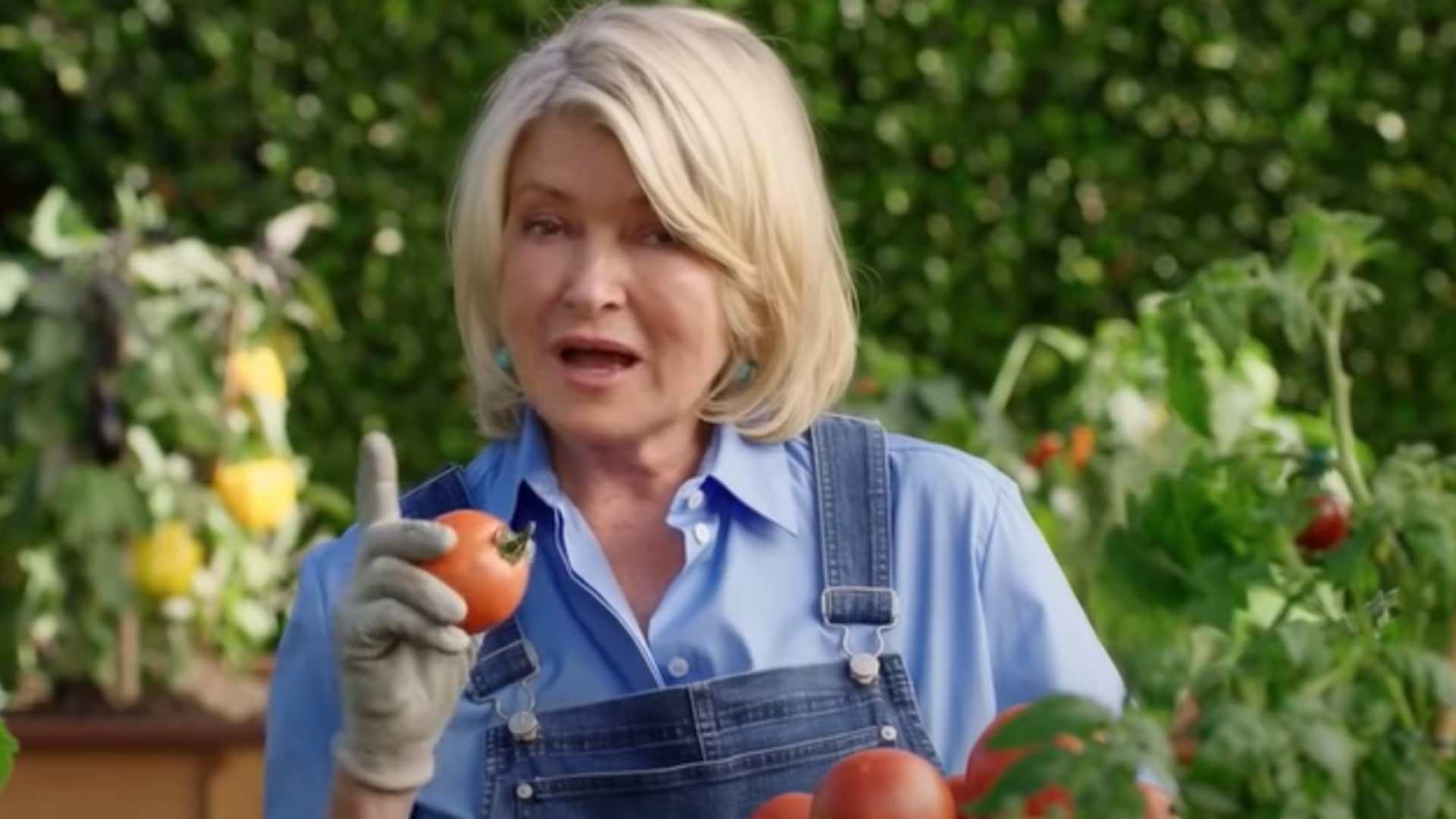 Still from Scotts Miracle-Gro Super Bowl commercial.