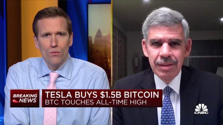 Reaction to Tesla's bitcoin investment will be all over the place, says Mohamed El-Erian
