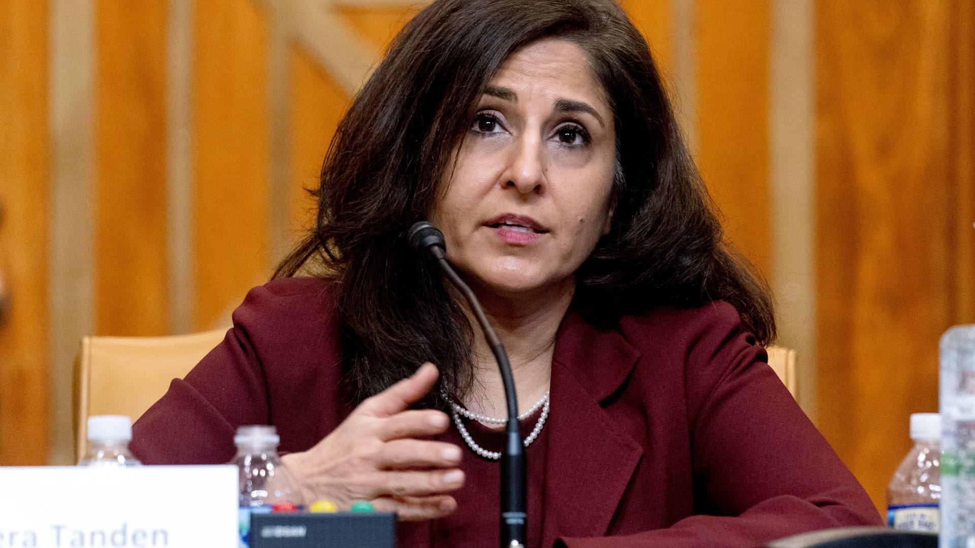 Neera Tanden, President Joe Biden's nominee for Director of the Office of Management and Budget (OMB), testifies during a Senate Committee on the Budget hearing on Capitol Hill in Washington, February 10, 2021.
