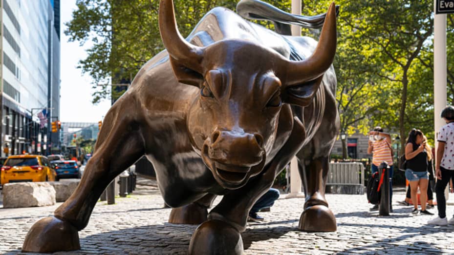 The bronze Charging Bull in the financial district of New York City.