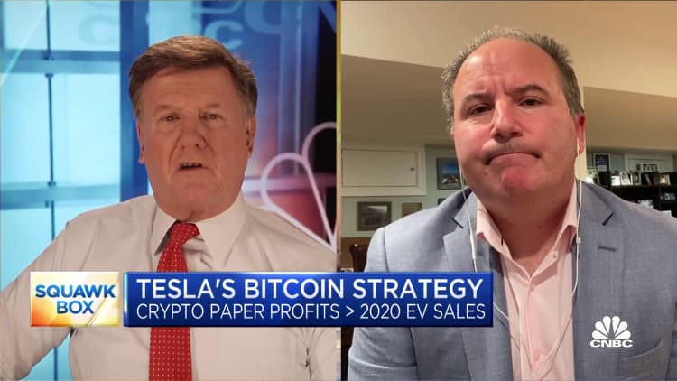 Wedbush's Dan Ives on his estimate that Tesla has made roughly $1 billion in profits from bitcoin