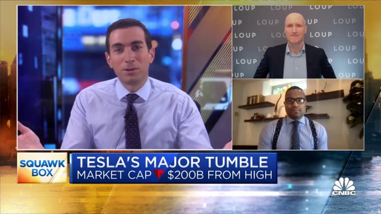 Tesla bull and bear debate the stock's major tumble