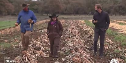 Texas farmers hit hard by recent winter weather