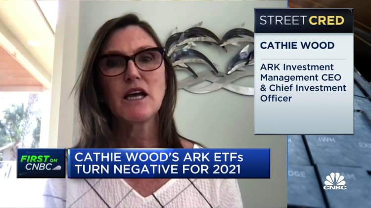 Cathie Wood: The bull market is broadening and will be good for our funds long-term