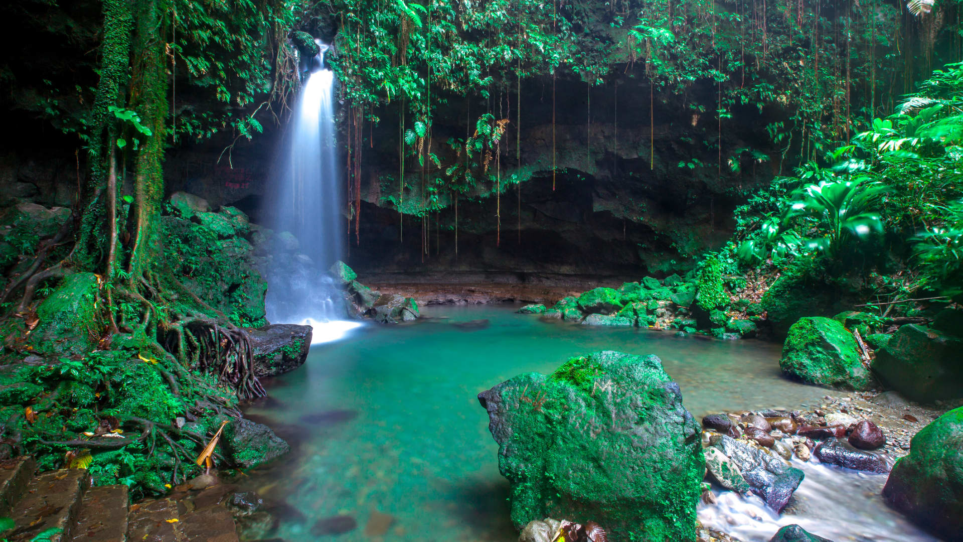 The 275-square-mile island nation of Dominica allows travelers from high-risk countries to visit places like Trafalgar Falls and the Emerald Pool (shown here).