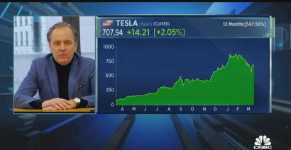 'I think Tesla is going down,' says fund manager