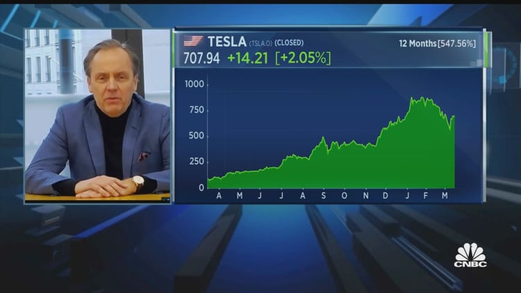 'I think Tesla is going down,' says fund manager