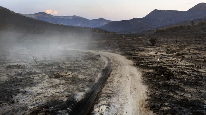 Land owned by the Dick and Meg Latham and his sister Julia was devastated by the Pine Gulch Fire on August 27, 2020 near De Beque, Colorado. The fire burned the land so quickly and badly that in many parts nothing is left but deep ash, soot and stumps of 