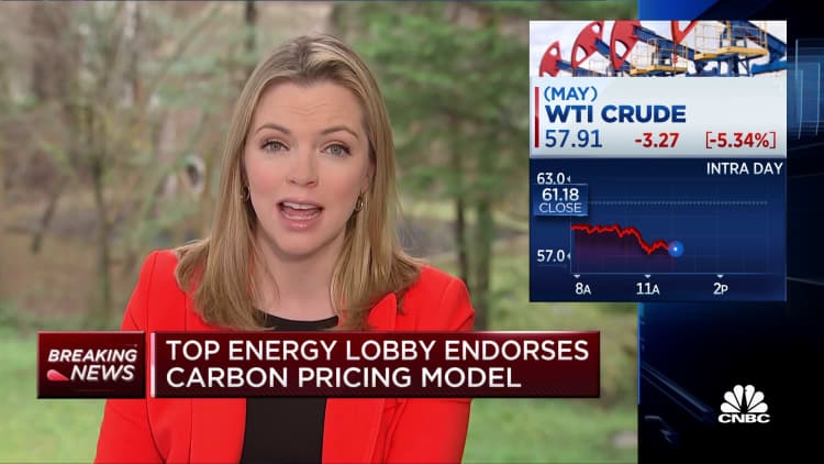 Top energy lobby endorses carbon pricing model