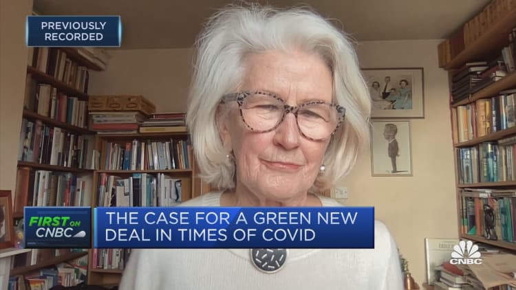 I want to see the EU lead the way for a new Green Deal, not markets: Ann Pettifor