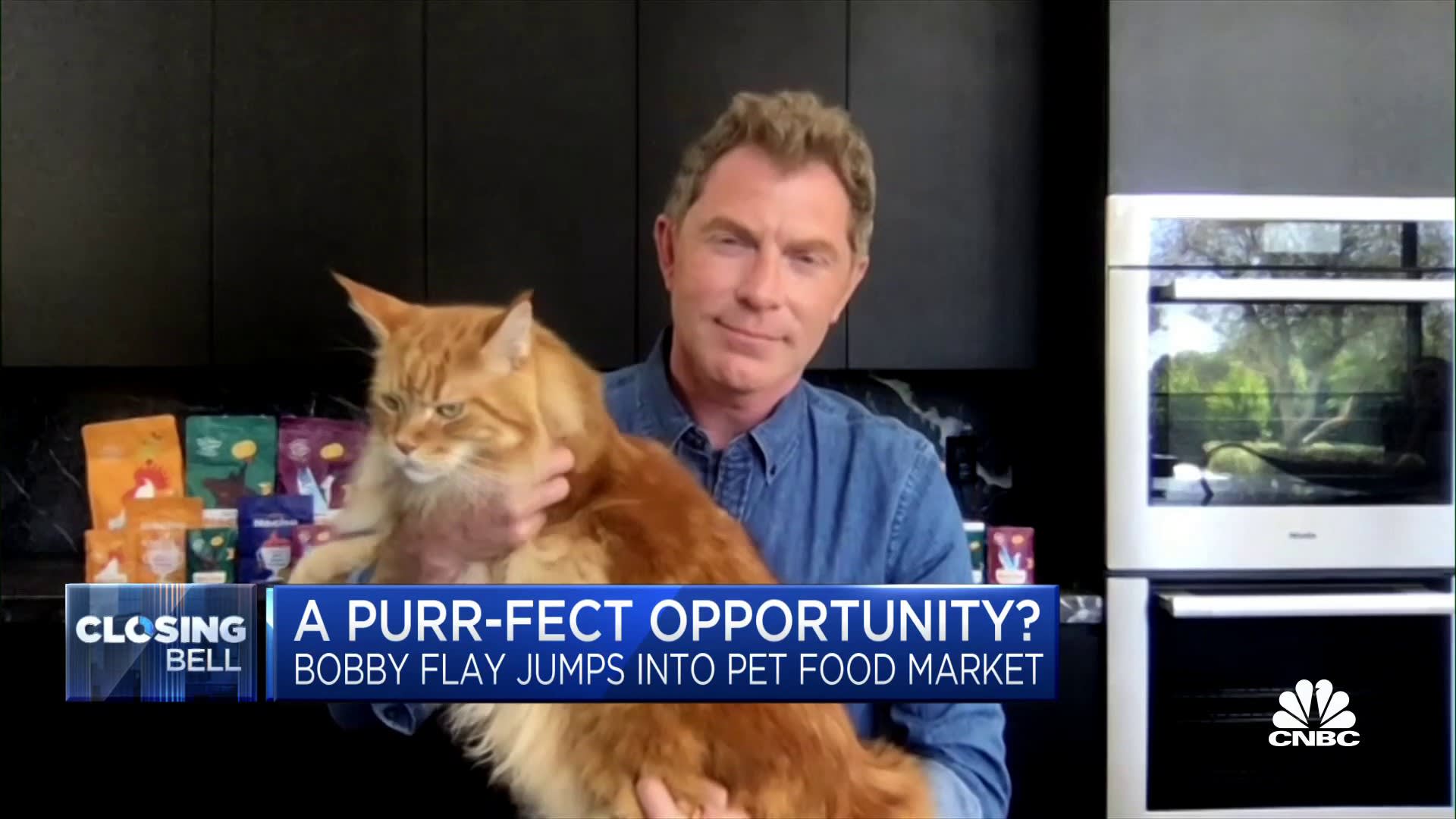 Chef Bobby Flay launches pet food line for cats