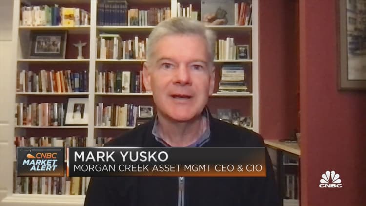 "It's Ponzi-nomics:" Mark Yusko calls out the Dogecoin cryptocurrency craze
