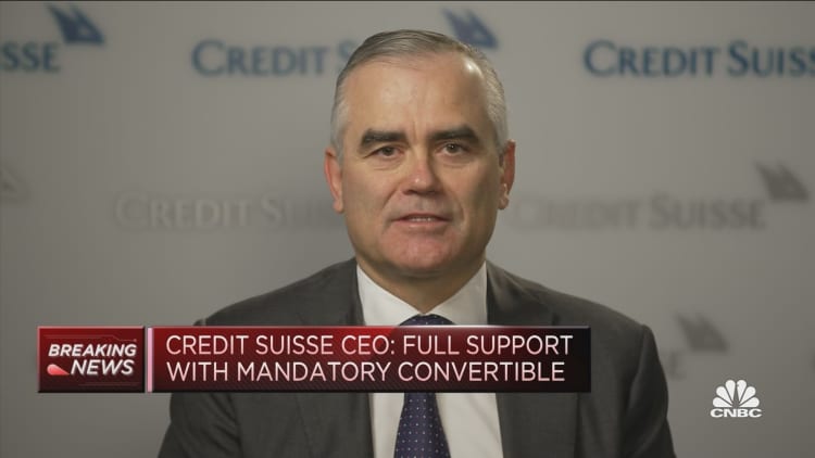 We have addressed recent issues causing 'suffering' share price, Credit Suisse CEO says