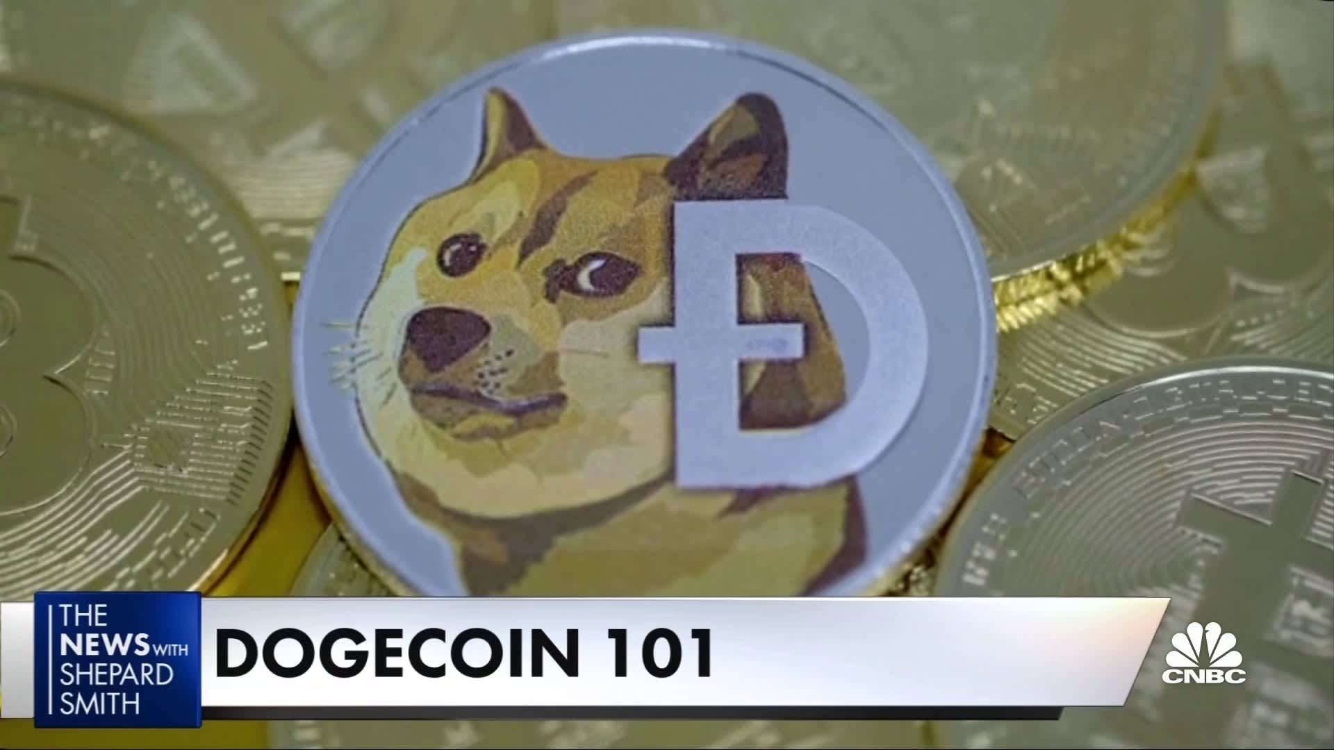 Dogecoin investieren - Sicher und Seriös in die Kryptowährung investieren