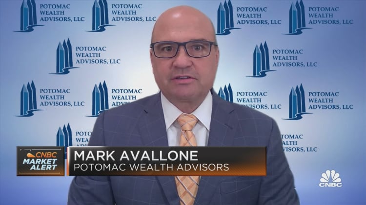 Potomac's Mark Avallone on rate fears and big tech