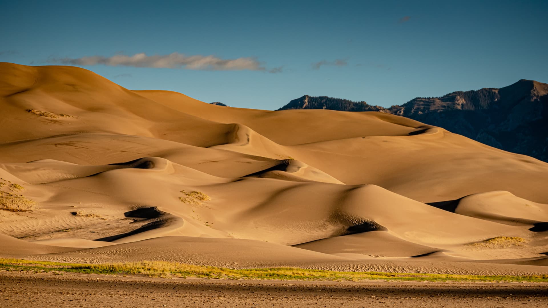 With 30 square miles of sand, the Great Sand Dunes near Alamosa, Colo. are attracting visitors seeking remote outdoor vacations.