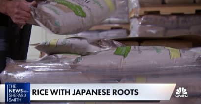 Rice that has Japanese roots
