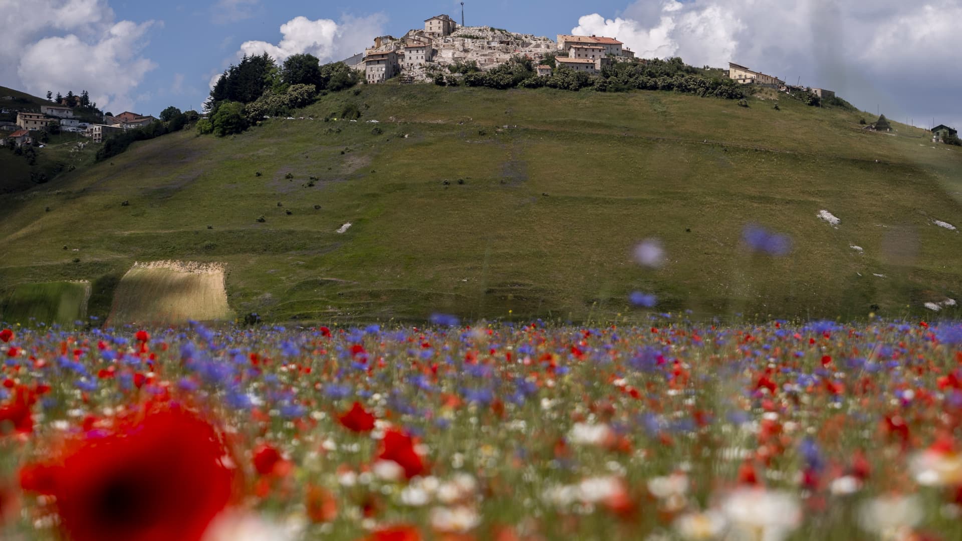 The blooming of flowers below Castelluccio di Norcia, prior to the 2016 earthquake that damaged much of the village.
