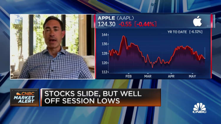 Baron Opportunity Fund's Michael Lippert on tech stocks and Apple