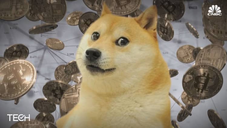 Dog breeders are fetching mad coin for dogecoin's mascot — Meet the Japanese Shiba Inu