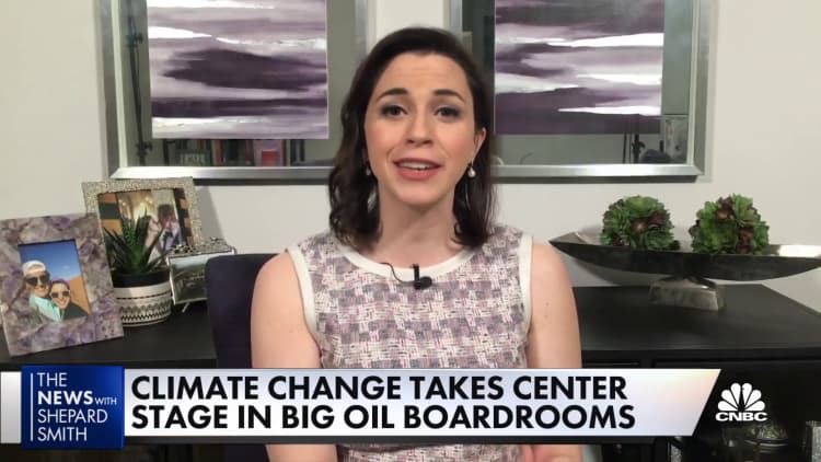 Climate change activists score wins against big oil companies like Exxon and Shell