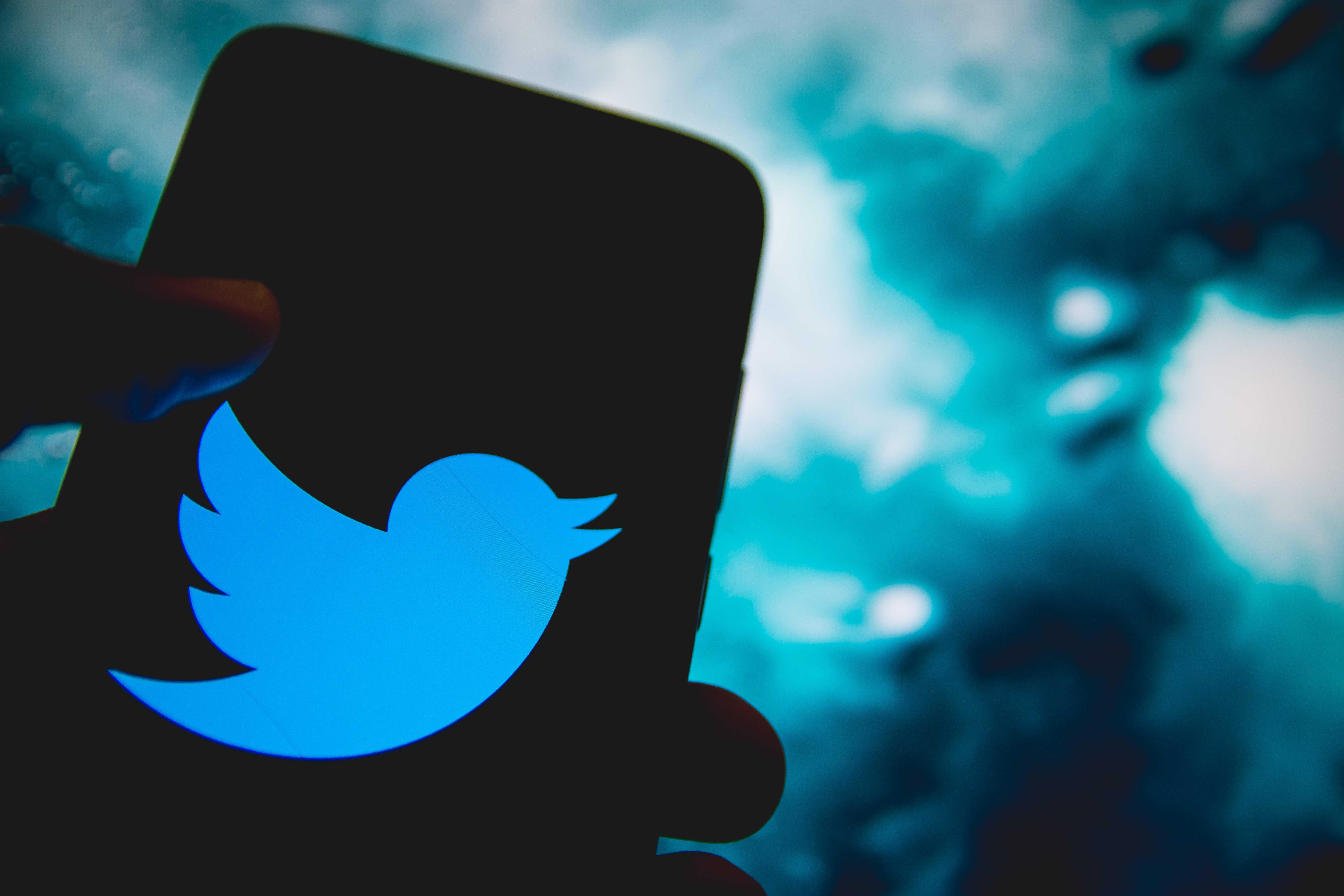Twitter is nearing a bottom, says trader after the Ark Invest purchase