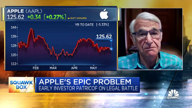 Early Apple investor Alan Patricof on the tech giant's legal battle with Epic Games