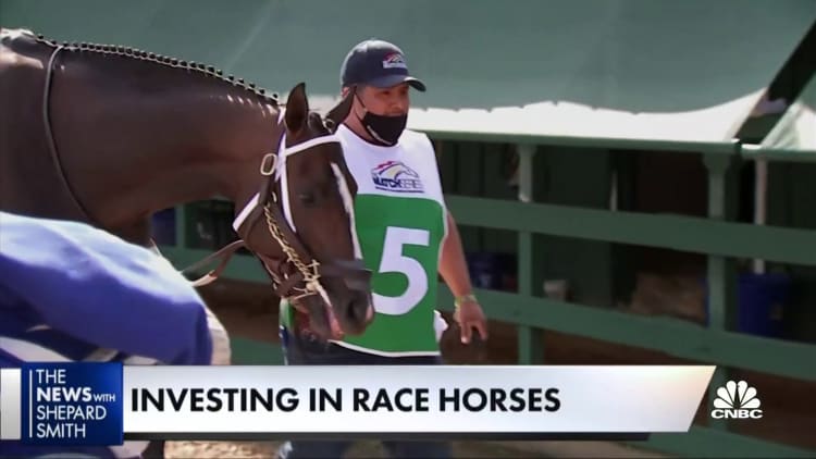 CNBC's Contessa Brewer on investing in race horses and whether it's really worth it