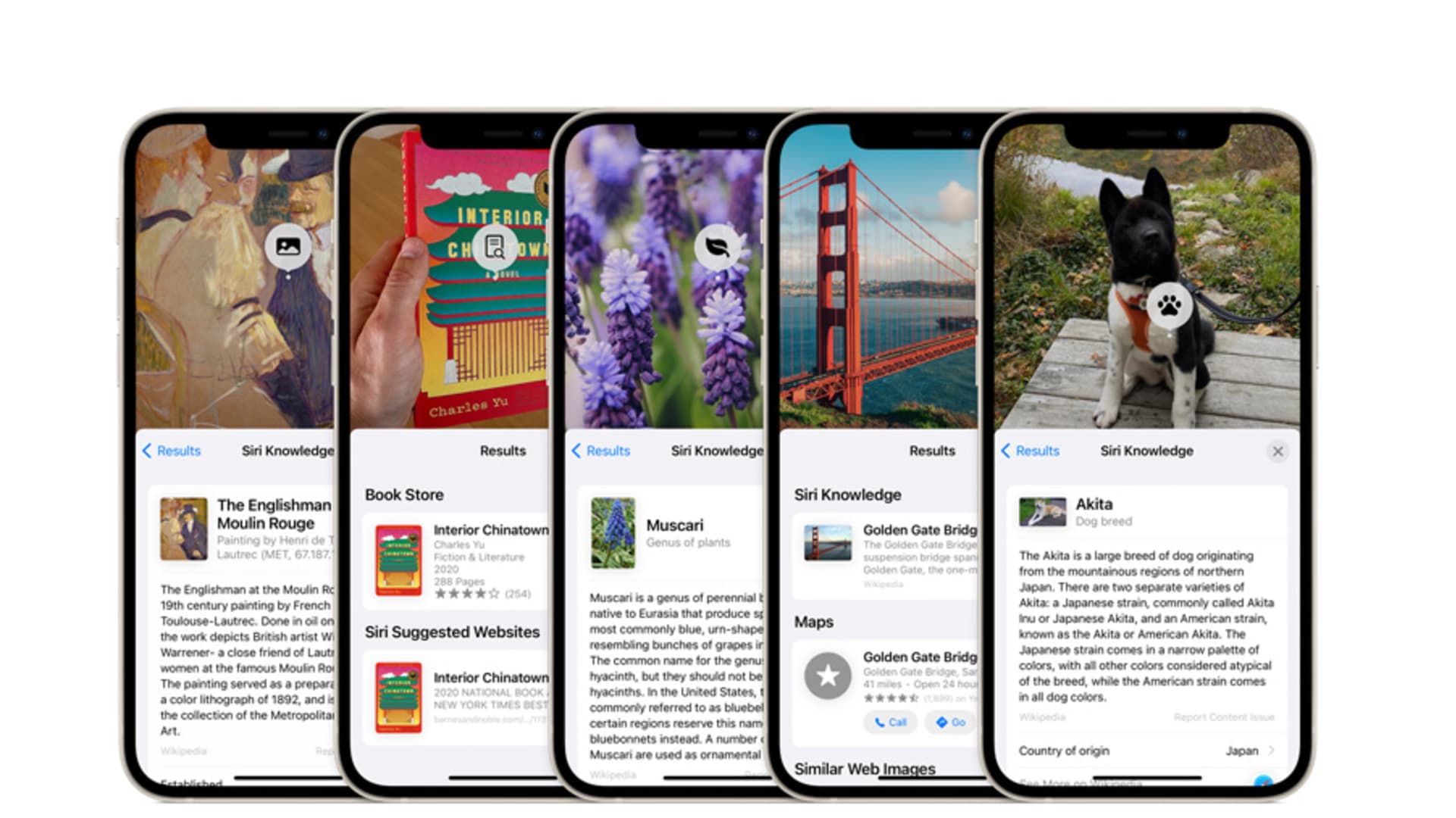 Apple iOS 15 will let you search things in your photos.