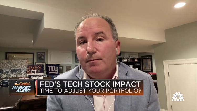 Wedbush's Dan Ives on how the Fed's decision could impact tech stocks