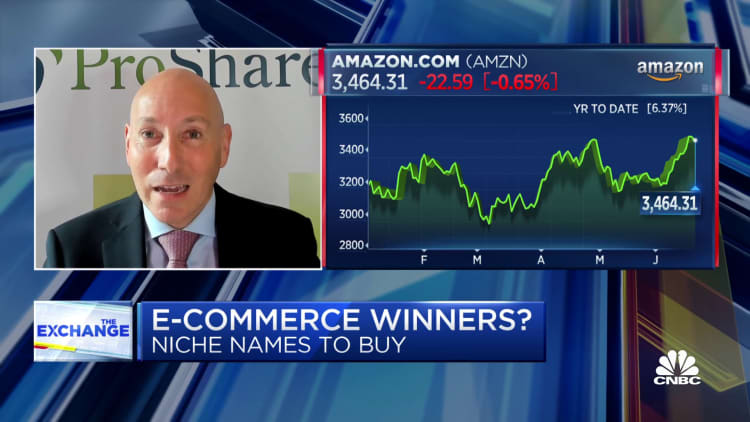 Why this analyst says to buy more 'niche' e-commerce stocks