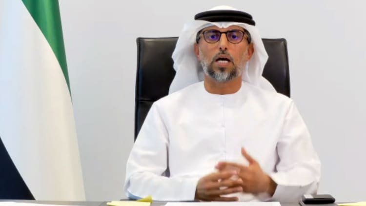 UAE supports increasing oil production unconditionally: Minister