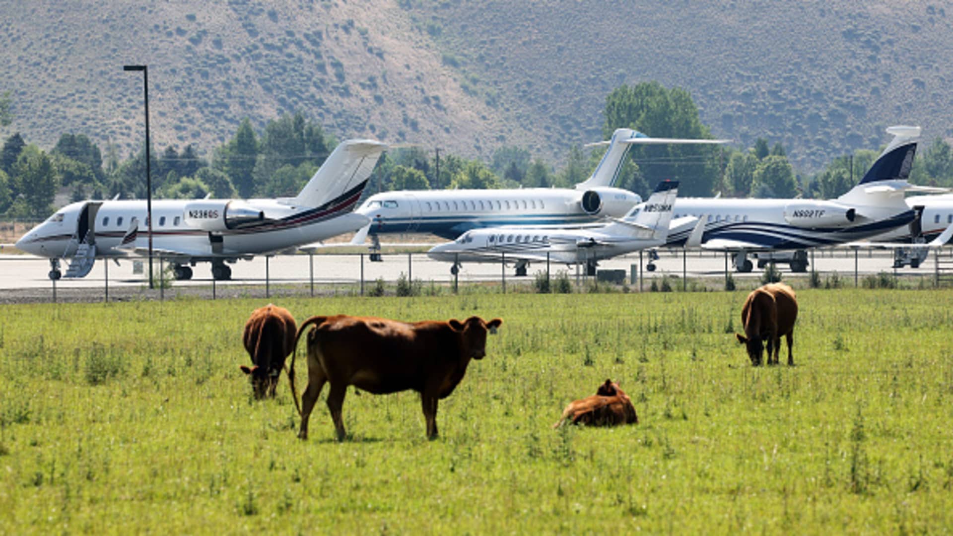 Private Jets park alongside grazing cows at Friedman Memorial Airport ahead of the Allen & Company Sun Valley Conference, July 5, 2021 in Sun Valley, Idaho.