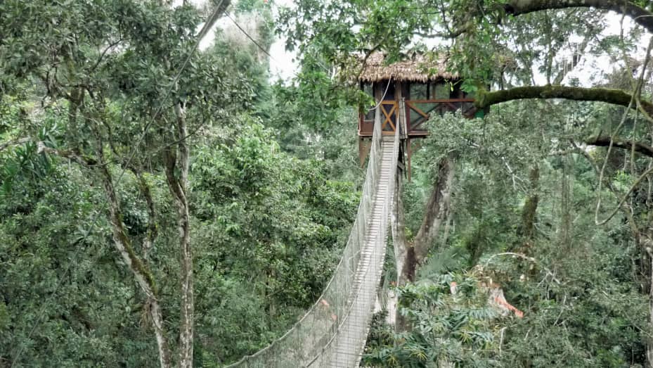 Guests at Peru's Inkaterra Reserva Amazonica treehouse sleep 70 feet above the rainforest floor.
