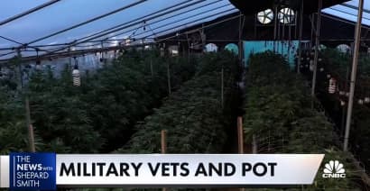Veterans push for marijuana reform