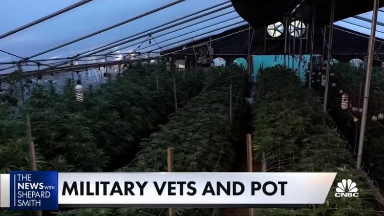 Veterans push for marijuana reform