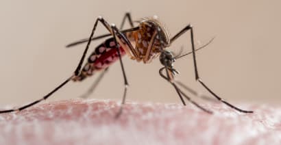 Oxford malaria vaccine rollout could have 'major' implications in sub-Saharan Africa, economist says