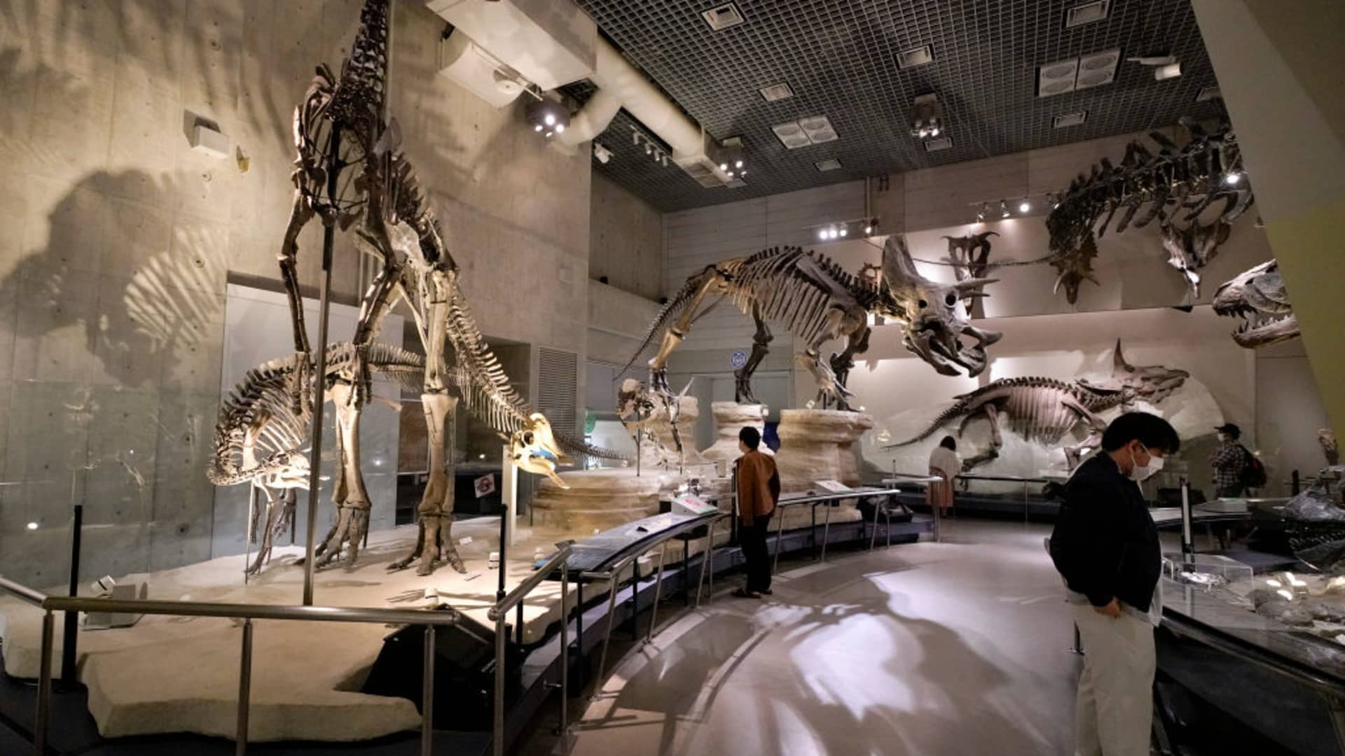 Visitors can explore the virtual walkways of the National Museum of Nature and Science in Tokyo, Japan.
