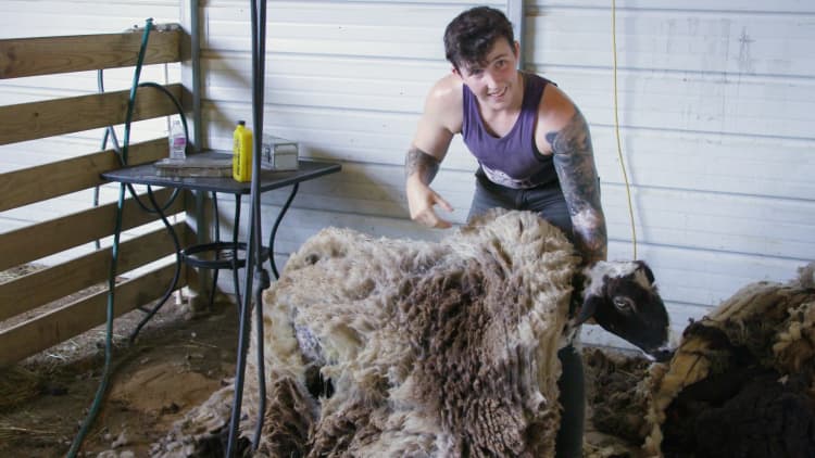 This 26-year-old makes $80,000 a year shearing sheep, llamas and alpacas in Texas