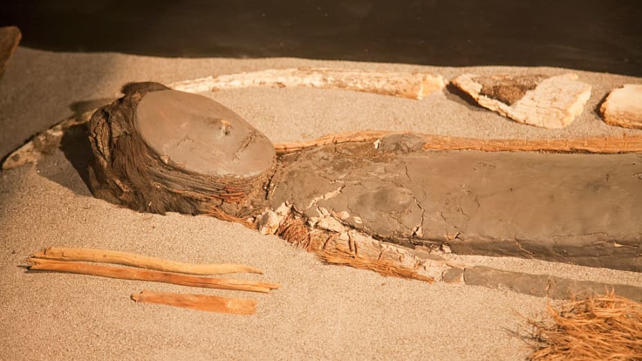Chinchorro Mummy Of A Baby On Display At The San Miguel De Azapa Archaeological Museum, Arica And Parinacota Region, Chile.